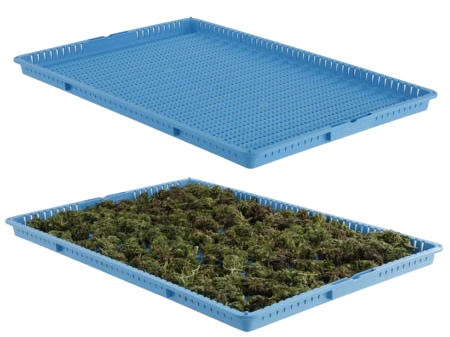 Introducing the WavDriTM Drying Trays